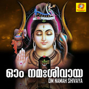 peaceful om namah shivaya mantra mp3 free download